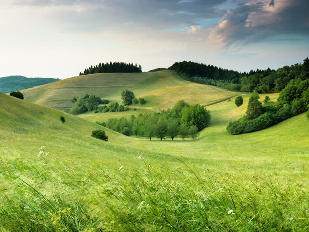 Galeri çalışması 7