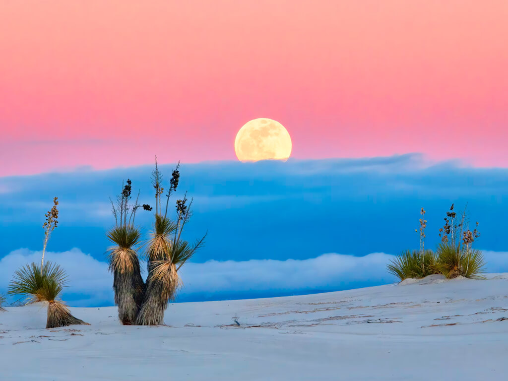 Galeri çalışması 8